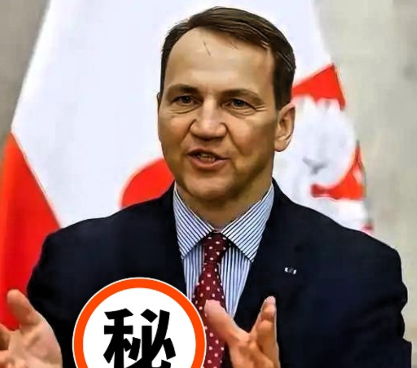 快报！快报！就在刚刚！波兰外长西科尔斯基日前在美媒采访中指责某些“东方大