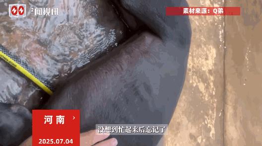 “命真大啊！”近日，河南，一男子装修房子，因为担心家里养的狗到处乱跑被砸到，于是
