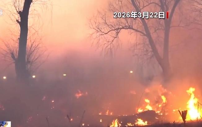 将秸秆视为一种有价值的再生资源，实施集中收储，并进行分级分类的资源化利用。这在技