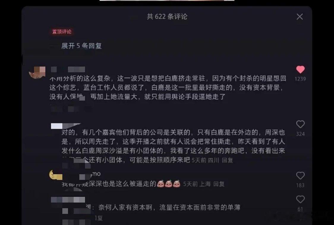 这就是白鹿被审判的原因