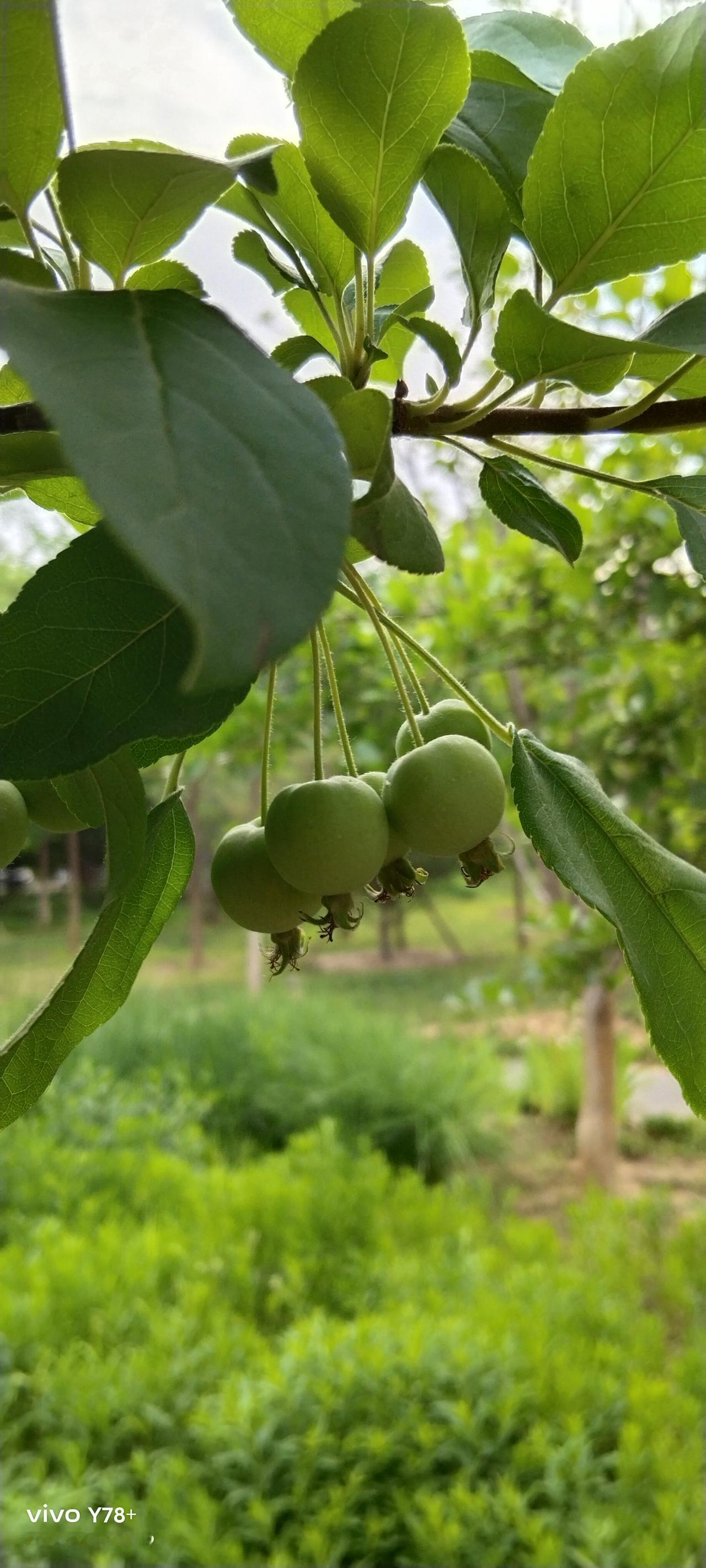 浙金爆雷了，这不是第一个，也不会是最后一个。不断出现的爆雷，作为普通大众的我们