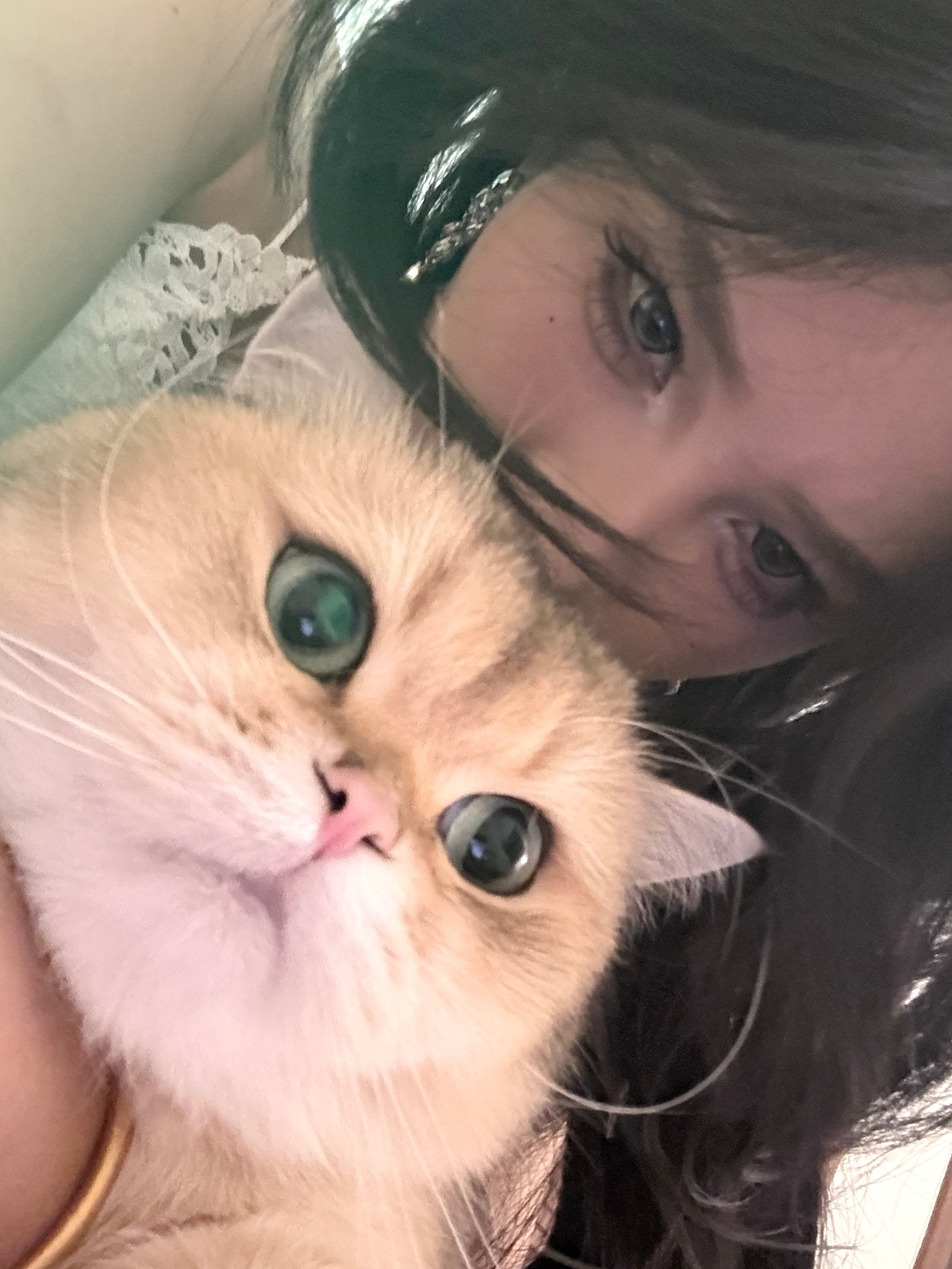 不太想理妈妈的小猫🐈（很嫌弃我了可以说​​​