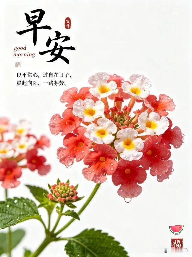 🍒²⁰²⁶/₀₆.₀₆ᵕ̈☀️周六｜清风自来☕️🍃🍑暂别日常奔波