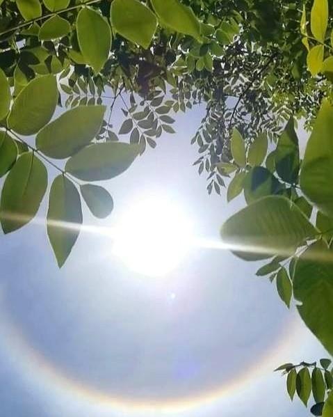 别光盯着今年这40天超长待机三伏天了。告诉你，最要命的根本不是高温，而是它——“