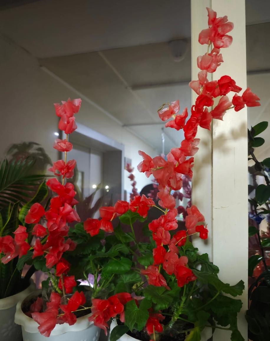 25岁河师本+华师研，刚上岸石家庄市区初中在编教师，却突然没了结婚的念头。自身条