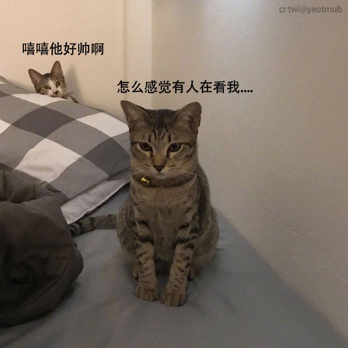 暗恋​​​​