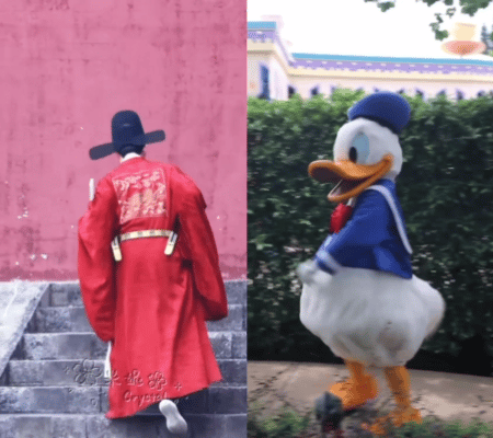丁禹兮你怎么变唐老鸭了丁禹兮动物塑可太好代了，猫塑🐱刺猬塑🦔狐狸塑🦊哈哈