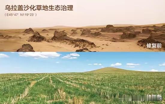 印度和中国几乎同时成立，却存在鲜明的差异。中国植树已超过七十年，森林面积逐年增加