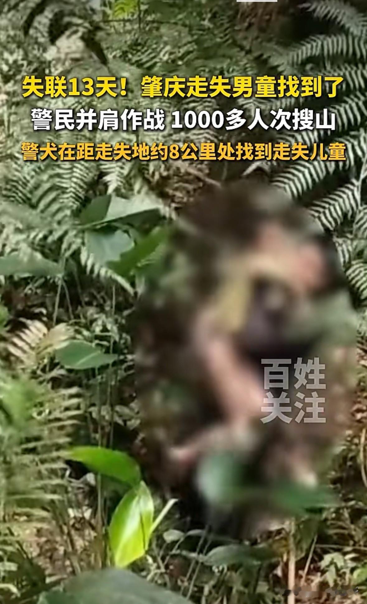 奇迹，广东肇庆11岁智力迟缓的男孩走失了13天后竟然在深山中找到了，目前身体状况