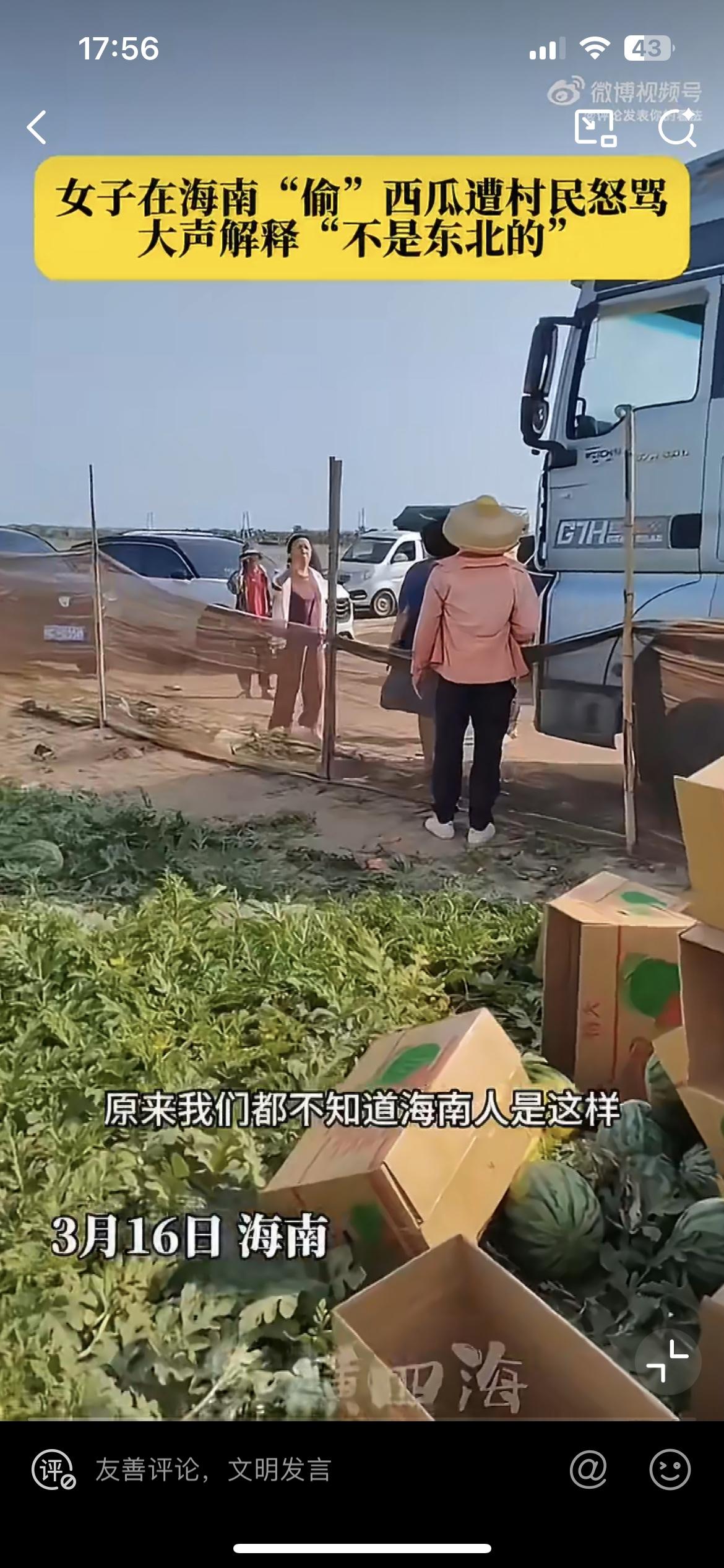 堆在路边的西瓜被一群大妈过来捡，海南的瓜农发现了怒斥，你们这群东北人，都是来偷瓜