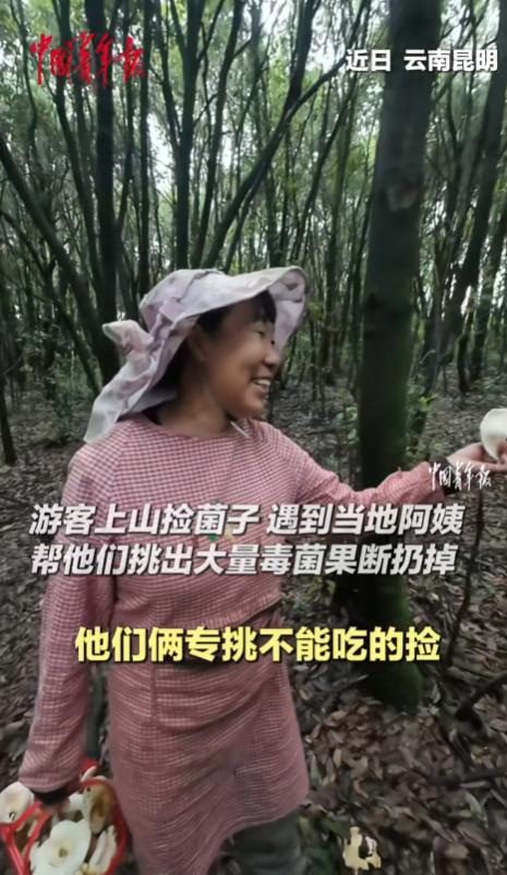 “笑不活了！”云南，两名游客上山捡菌子，偶遇一位当地阿姨，就让阿姨帮忙挑毒菌，不