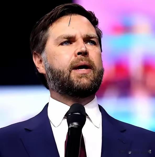 美国副总统万斯的这句话点醒了所有美国人！​他说：“美国一贯的外交政策是对其他国