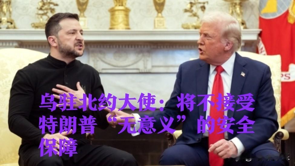 乌驻北约大使：将不接受特朗普“无意义”的安全保障据外媒报道1月28日，