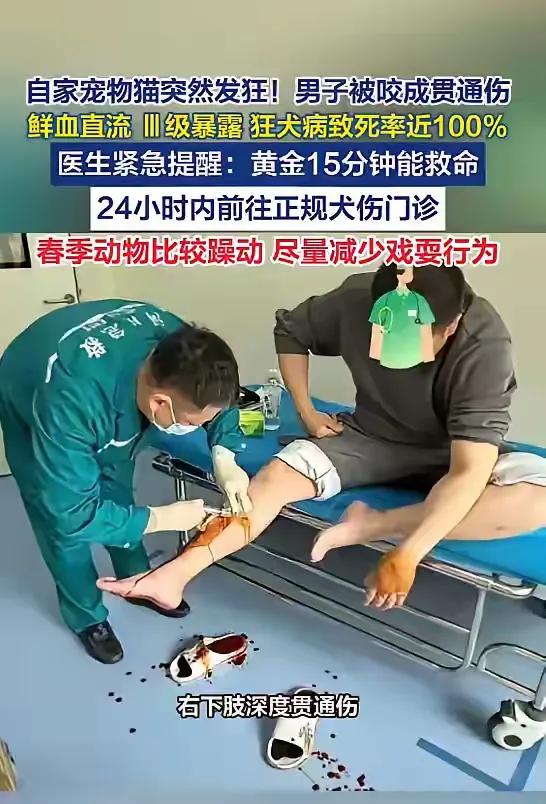 “太吓人了！”近日，河南郑州，一男子养了只猫，当时他在家时，猫突然发狂，对他猛烈