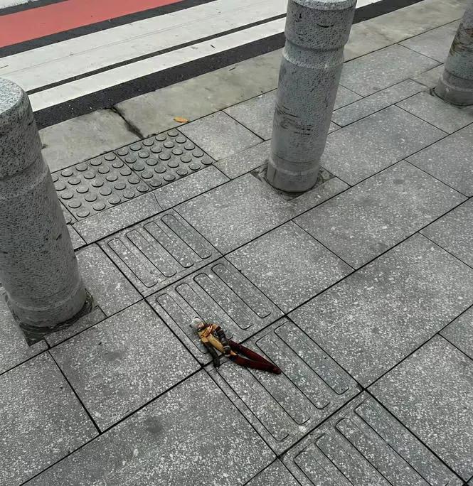 谁家男朋友掉了，来认领一下[捂脸哭]