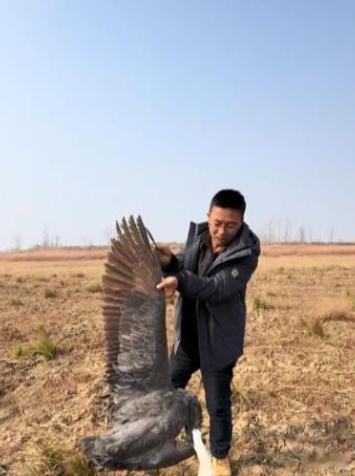 鄱阳湖野生动物疑被投毒现场触目惊心还有人敢专门针对保护动物投毒？别管出于什么目