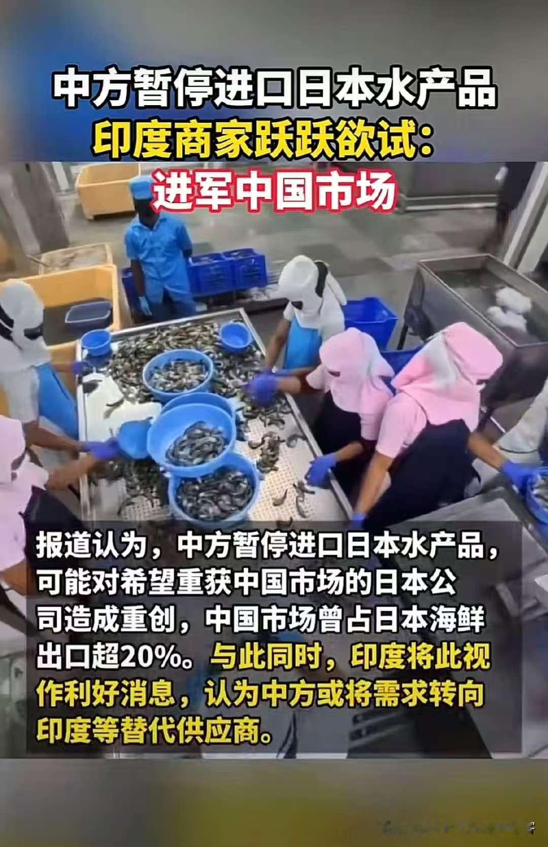 印度想对华出口水产品！啊这，每次刷到印度的短视频，让我对它的印象还停留在魔幻