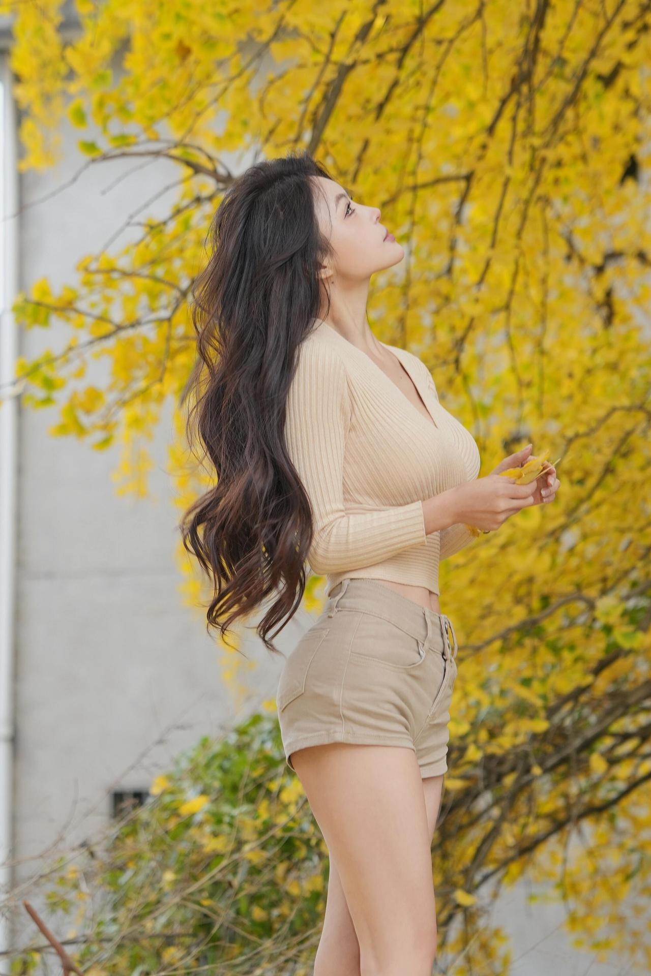 村口的银杏，是秋日最绚烂的守望者。金黄的叶片如蝶翼般层叠，将古朴的村落晕染成