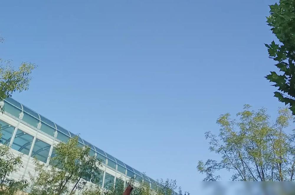 新来的总经理，一波自杀式洗牌的操作，把我看傻眼了。我之前上家公司就遇过一模一