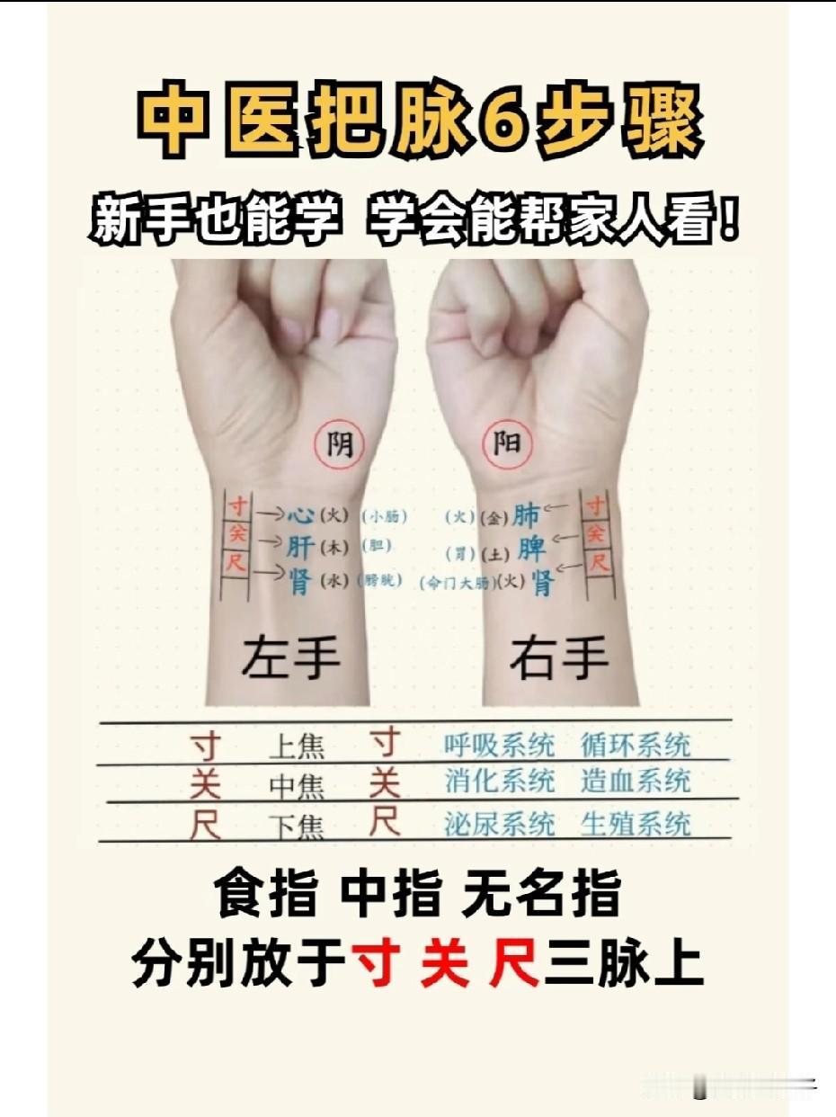 中医把脉六步骤