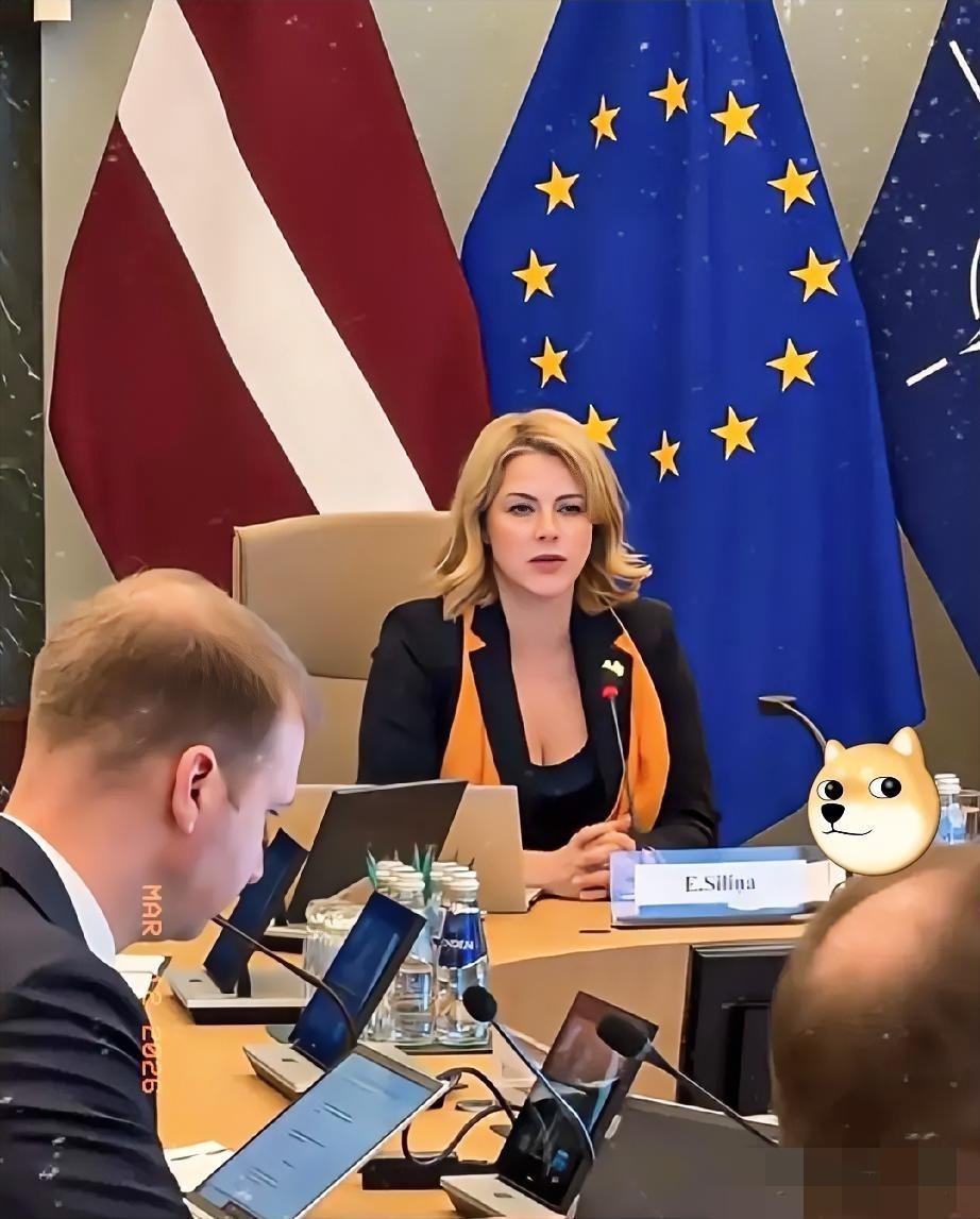 联合国安理会惊现“魔幻大戏”！中俄联手端上中东“和平火锅”，热气腾腾旨在救命