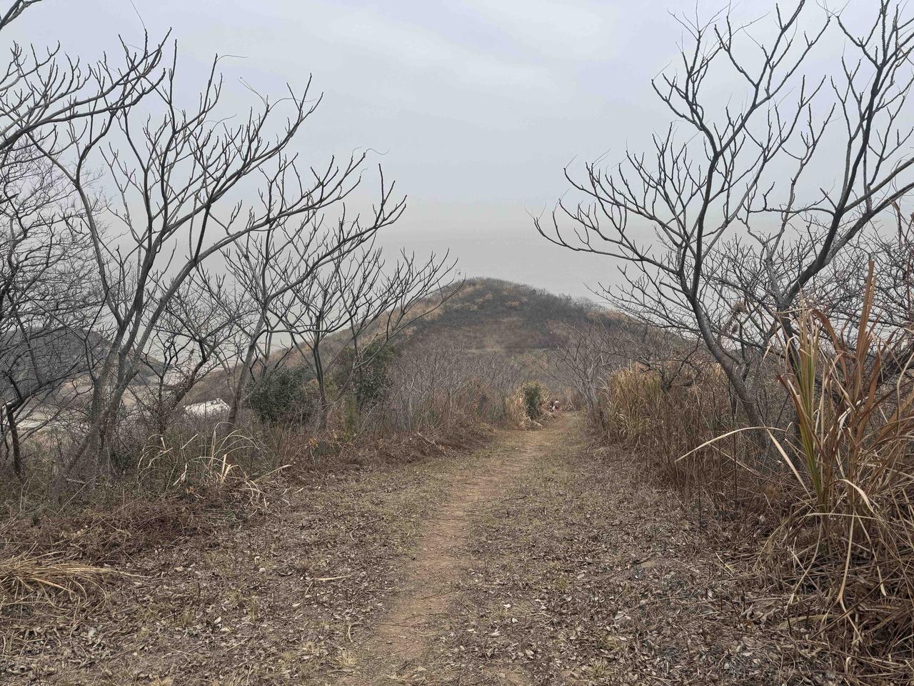 如果马斯克真在2050年移居100万人去火星上生活，我在想我去还是不去？