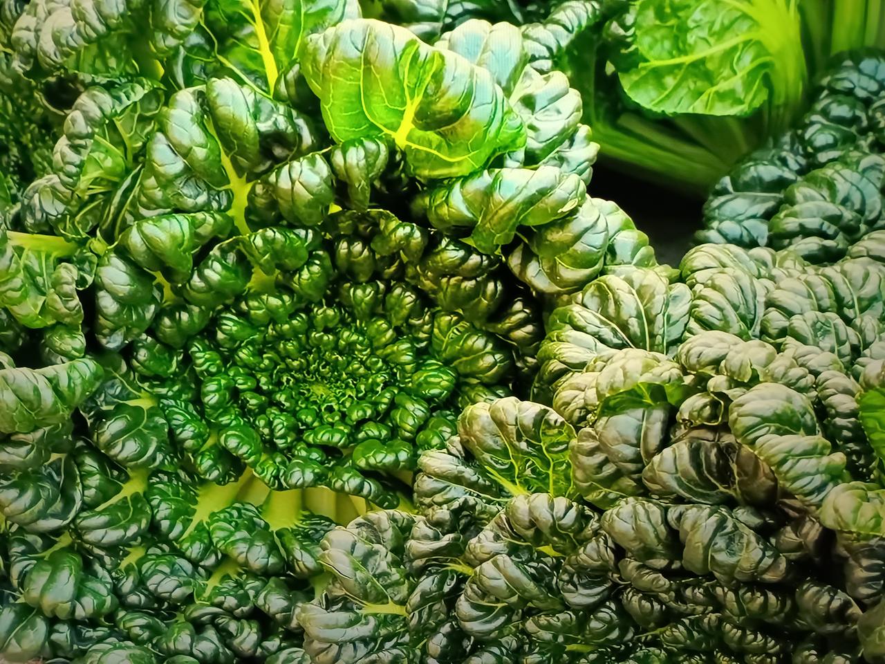 这是什么菜？有认识的吗？