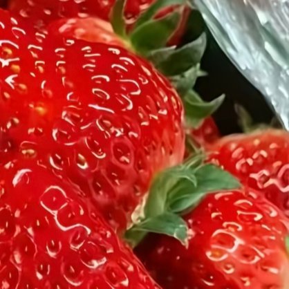 草莓种植1. 栽种时间大部分地区最佳种植时间：10–12月新手推荐品种：红颜（