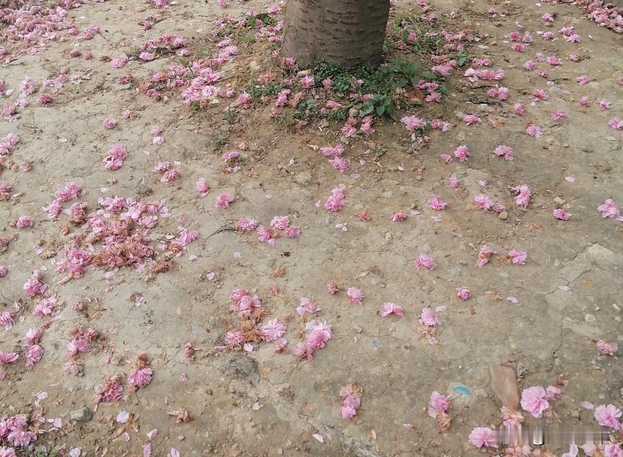 人到中年才懂：老伴儿不是累赘，是最后的底气我今年52岁，前几年总觉得老婆絮叨、