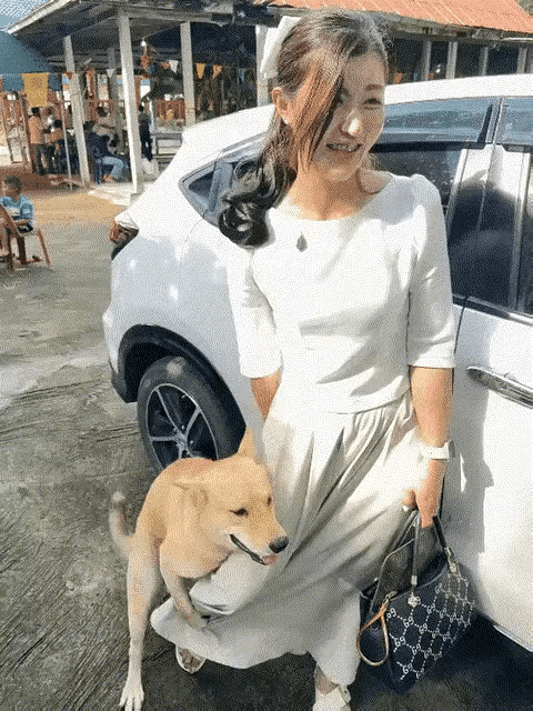 这狗狗太粘人了！有办法分开吗？