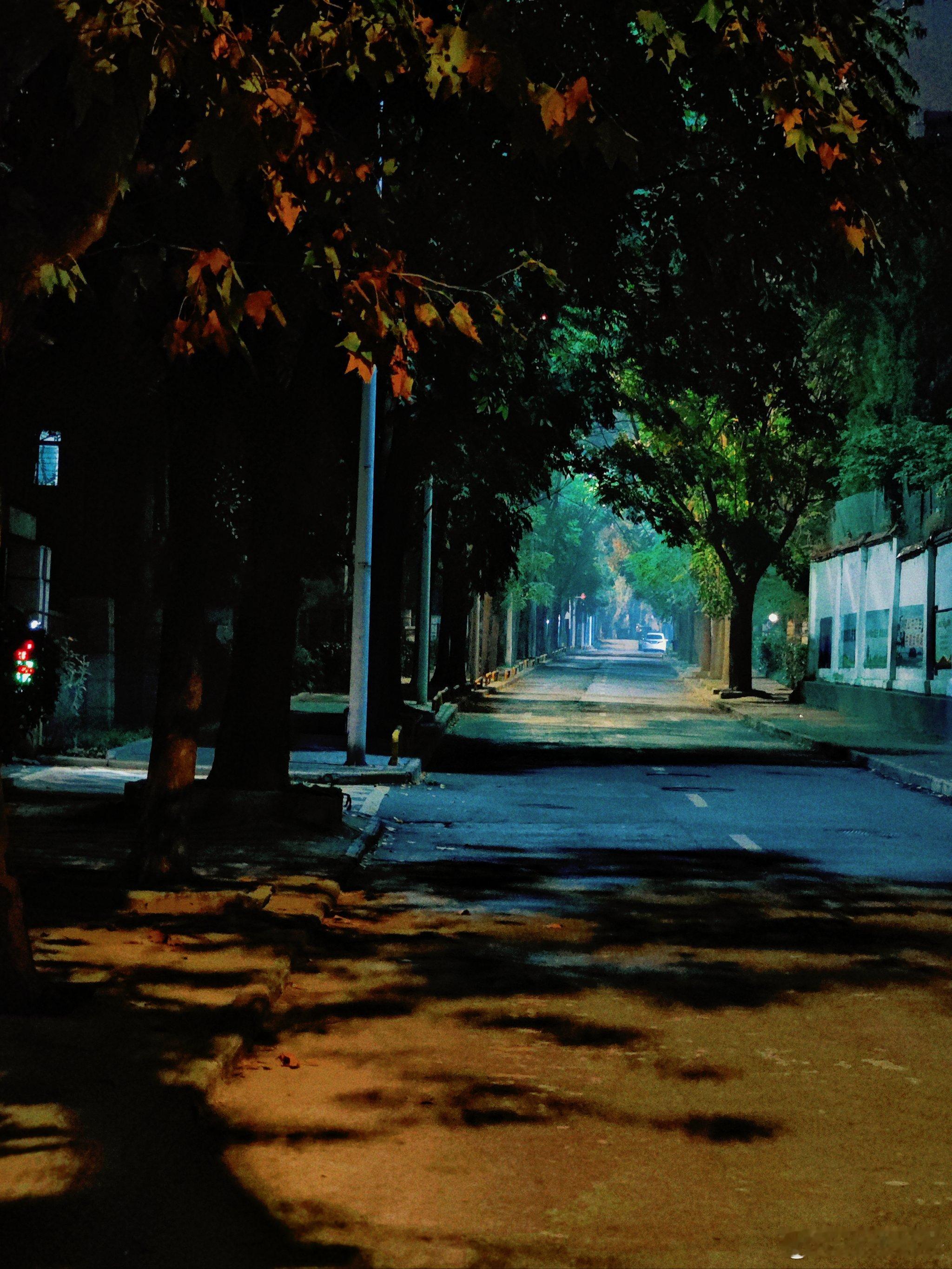 又快半夜了，时间过得好快啊，大家还有没睡觉的吗，都在干嘛？这么熬夜，难道不怕掉头