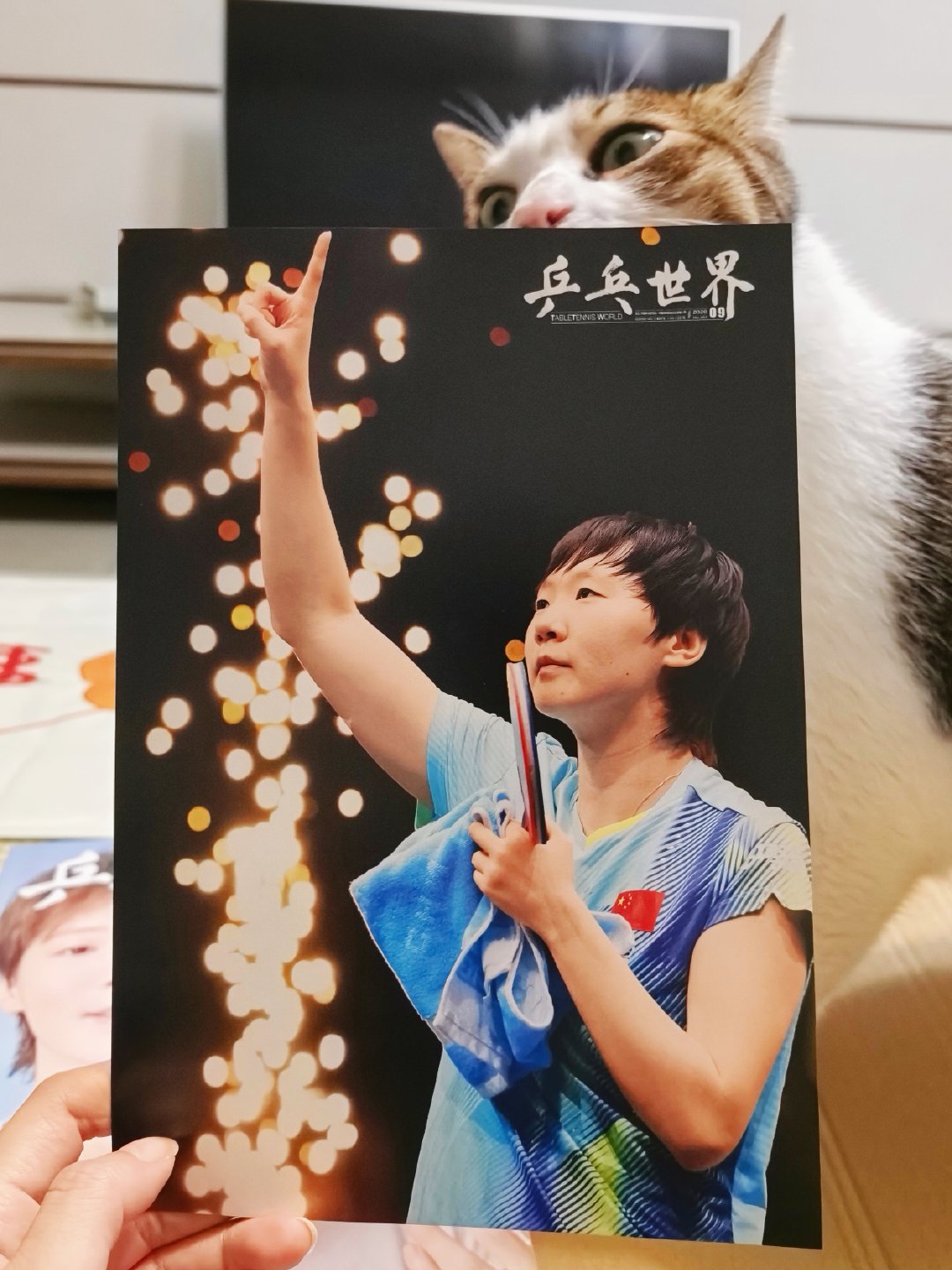 王曼昱✘乒乓世界9️⃣月刊终于到啦每次收到曼咪的东西这两只都要来“吸猫”​