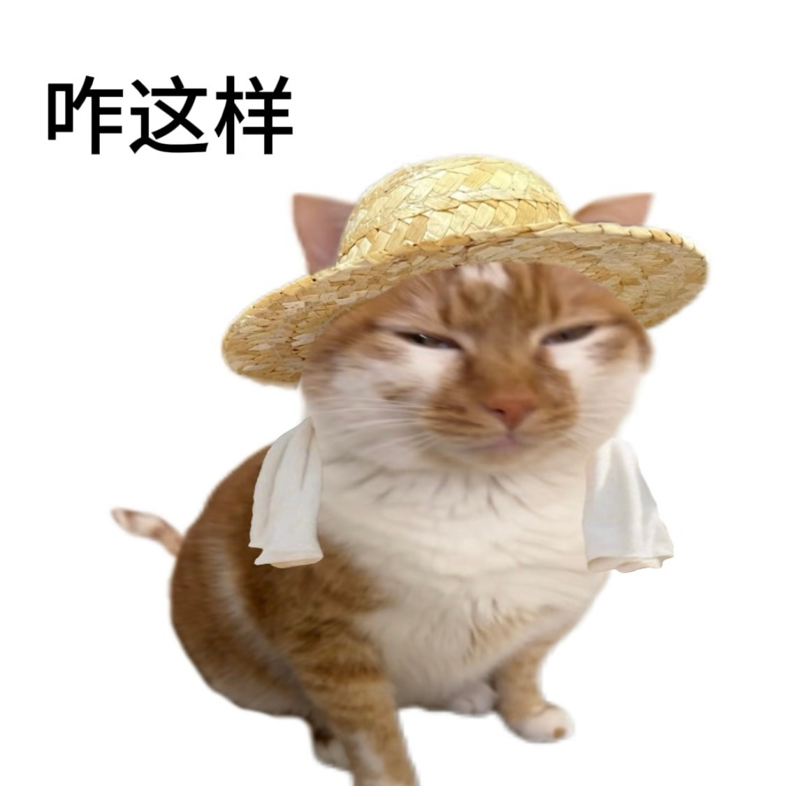 终于突破了事业的瓶颈没人告诉我还有瓶盖啊​​​