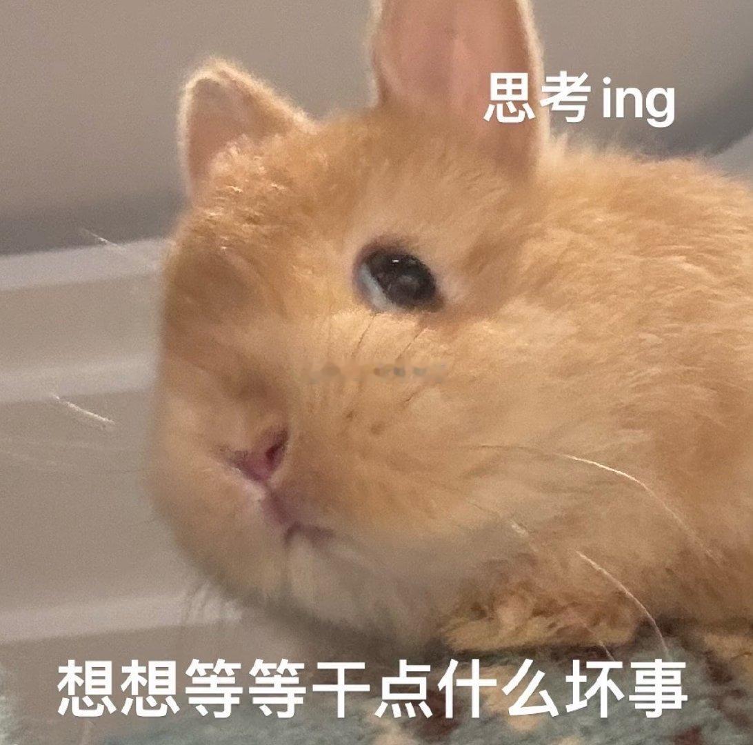 🐺是大坏蛋！！！明明说好七点陪我去超市买虾，结果不到七点就把我压身下开始酱酱酿