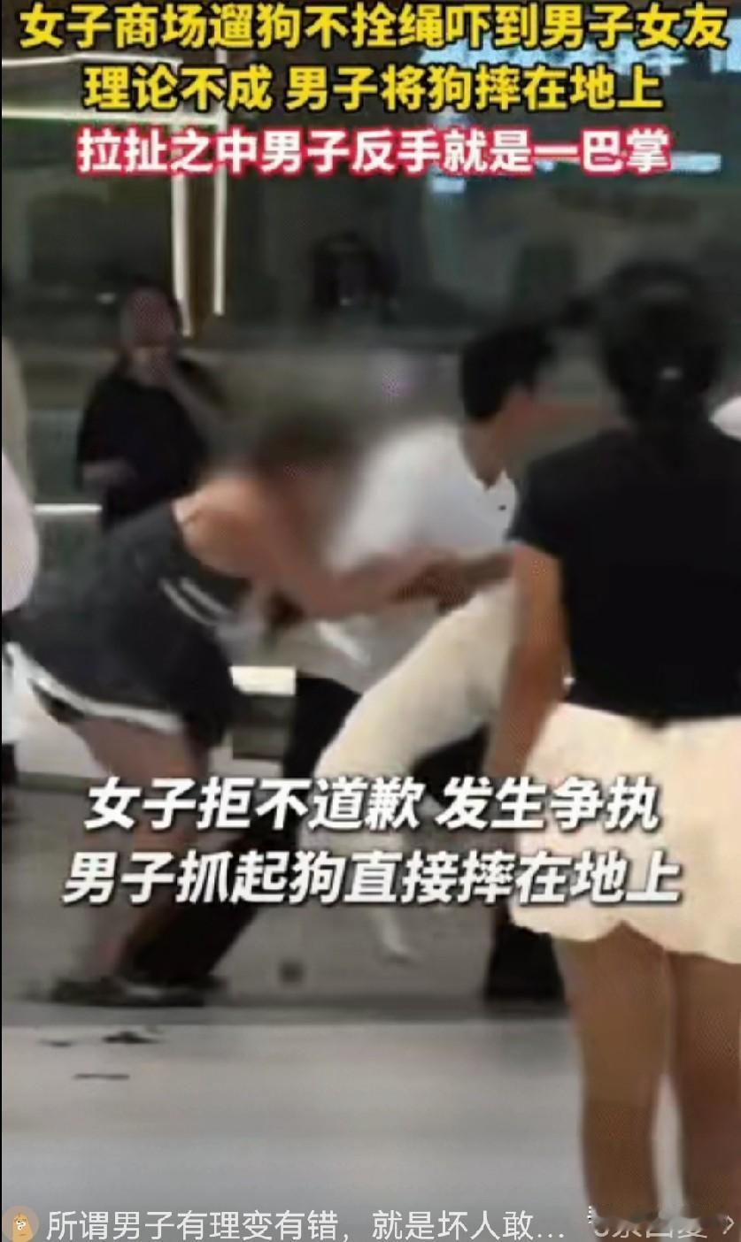 遛狗不拴绳引发冲突。律师表示不算互殴，双方都有责任！事发长沙一家商场里，一位女