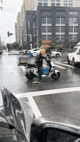泪目了，湖北，一网友上班路上看到了暖心一幕，一只猫应该是不小心被车子撞到了，躺在