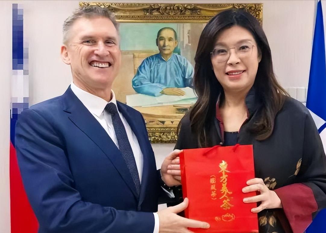 藏不住了！郑丽文的狐狸尾巴露出来了！在12月12日，国民党主席郑丽文接见了新