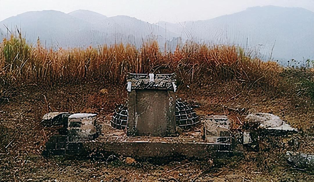 1991年，湖北一男子常年以捕蛇为生，一辈子杀蛇无数，意外去世之后，他的墓穴里，