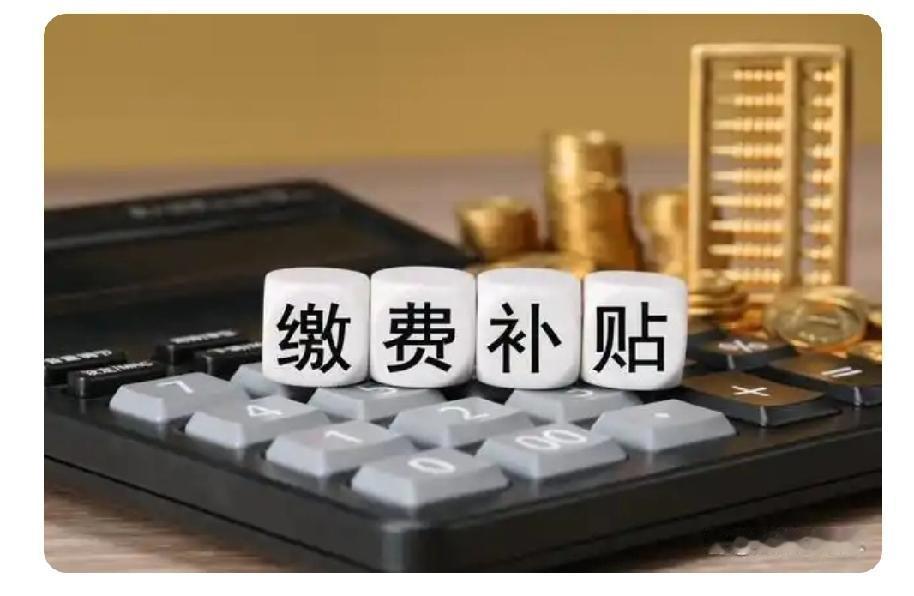 今年年底，国家为大学生和灵活就业人员送上社保补贴大礼包，究竟谁能领到这笔钱？如何