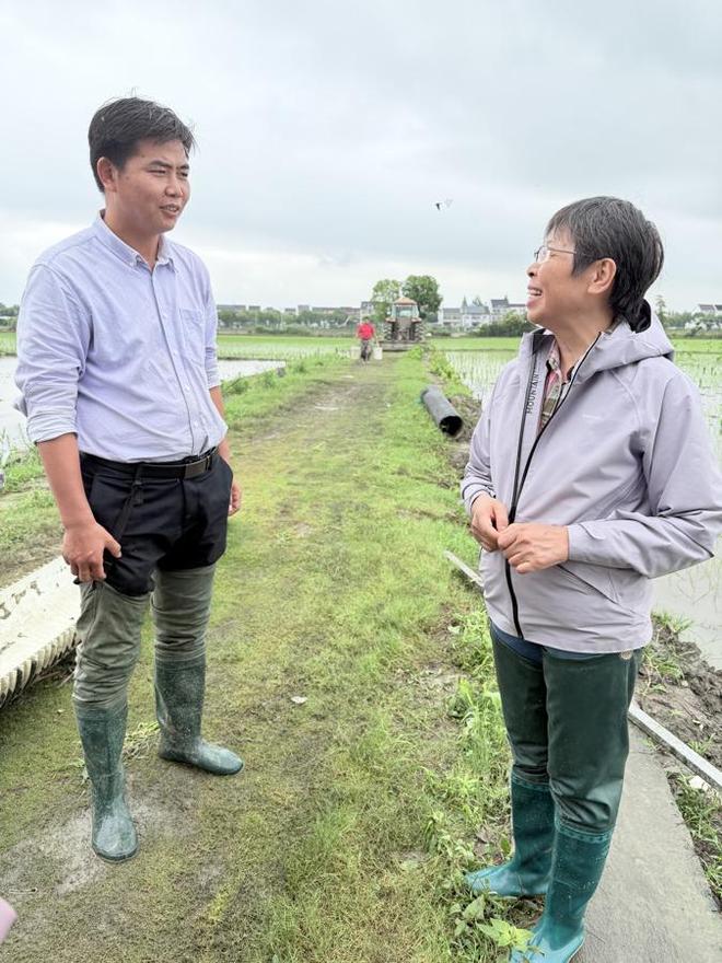水稻育种卖出近千万成果转让费! 上师大“致富稻”是怎么培育出来的?