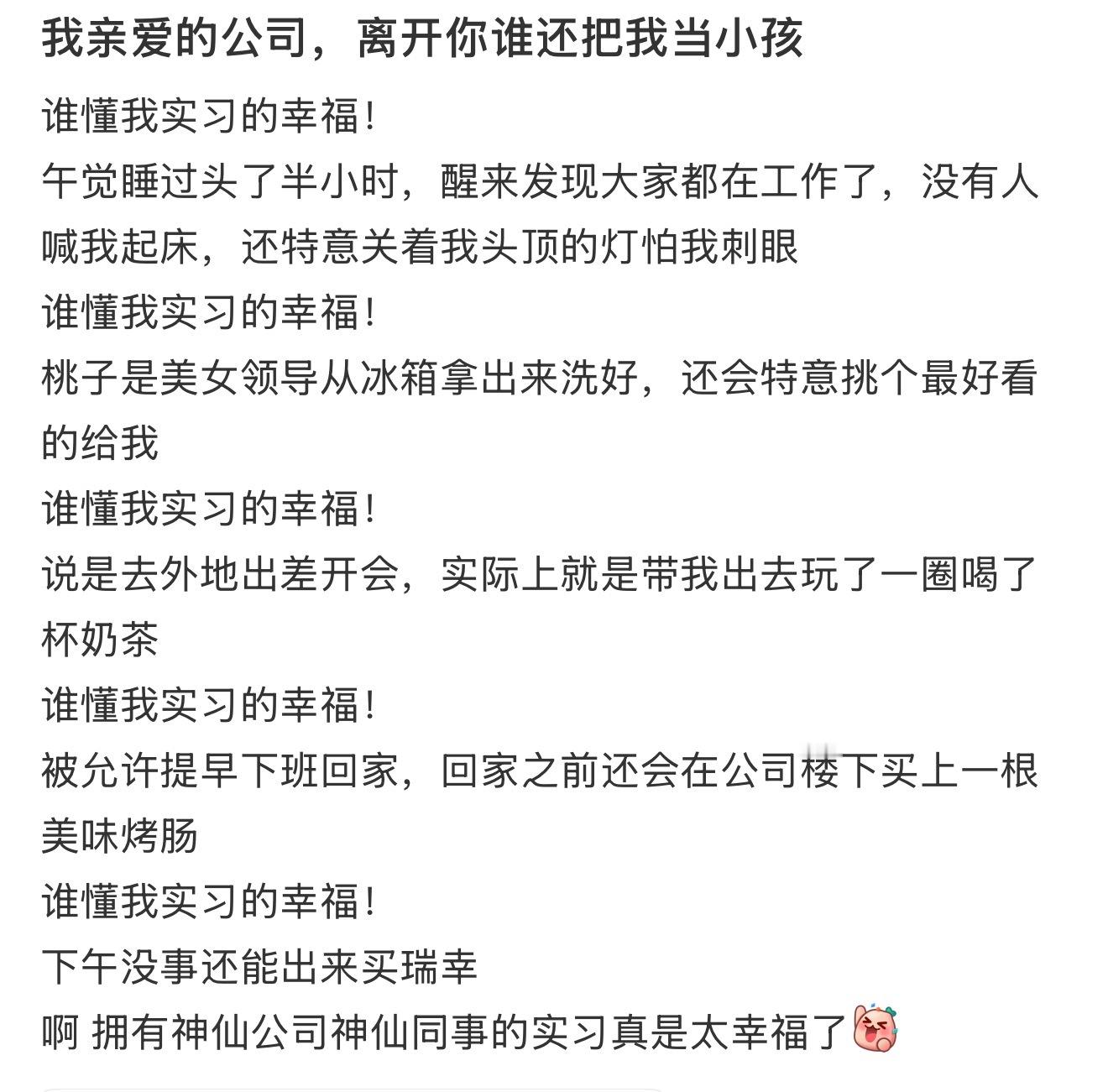 这辈子向往的理想公司出现了