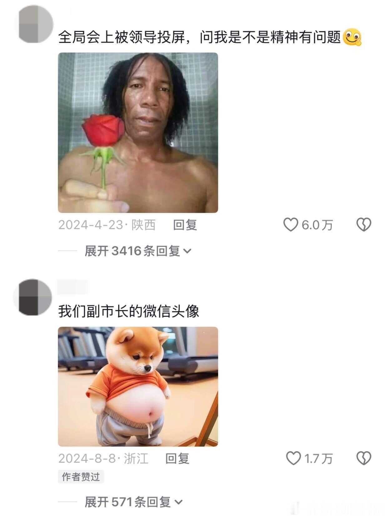 体制内头像真是各有各的精彩哈哈哈哈哈看完领导都不敢委以重任了