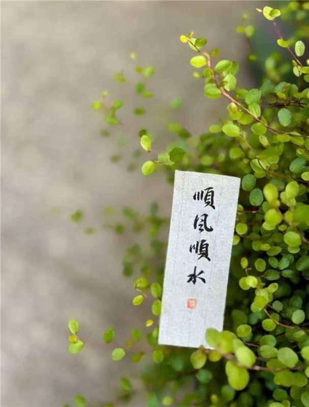 有助于培养孩子不虚荣不攀比的品质，还有勤劳节俭的好习惯。将来走向社会差不了[微笑