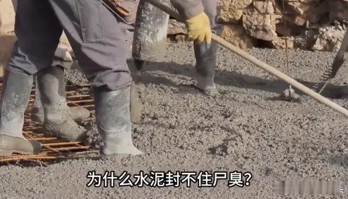 为什么水泥封不住尸臭味,但是葡萄树下却能封住? 先说说水泥为啥挡不住尸臭,美国有