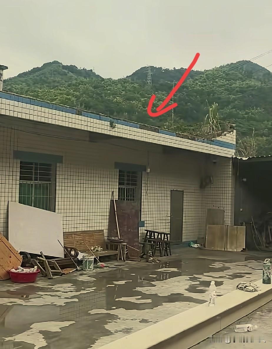 升学宴，墙体倒塌事件后续，主家堂弟，对外透露一个令人欣慰的消息：当地部门先行