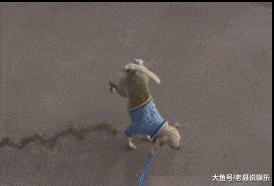 搞笑GIF: 妹子登高拍风景, 奈何大风不正经