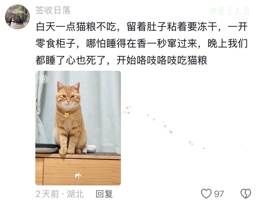 猫咪的智商，全用在“怎么骗吃的”上了。