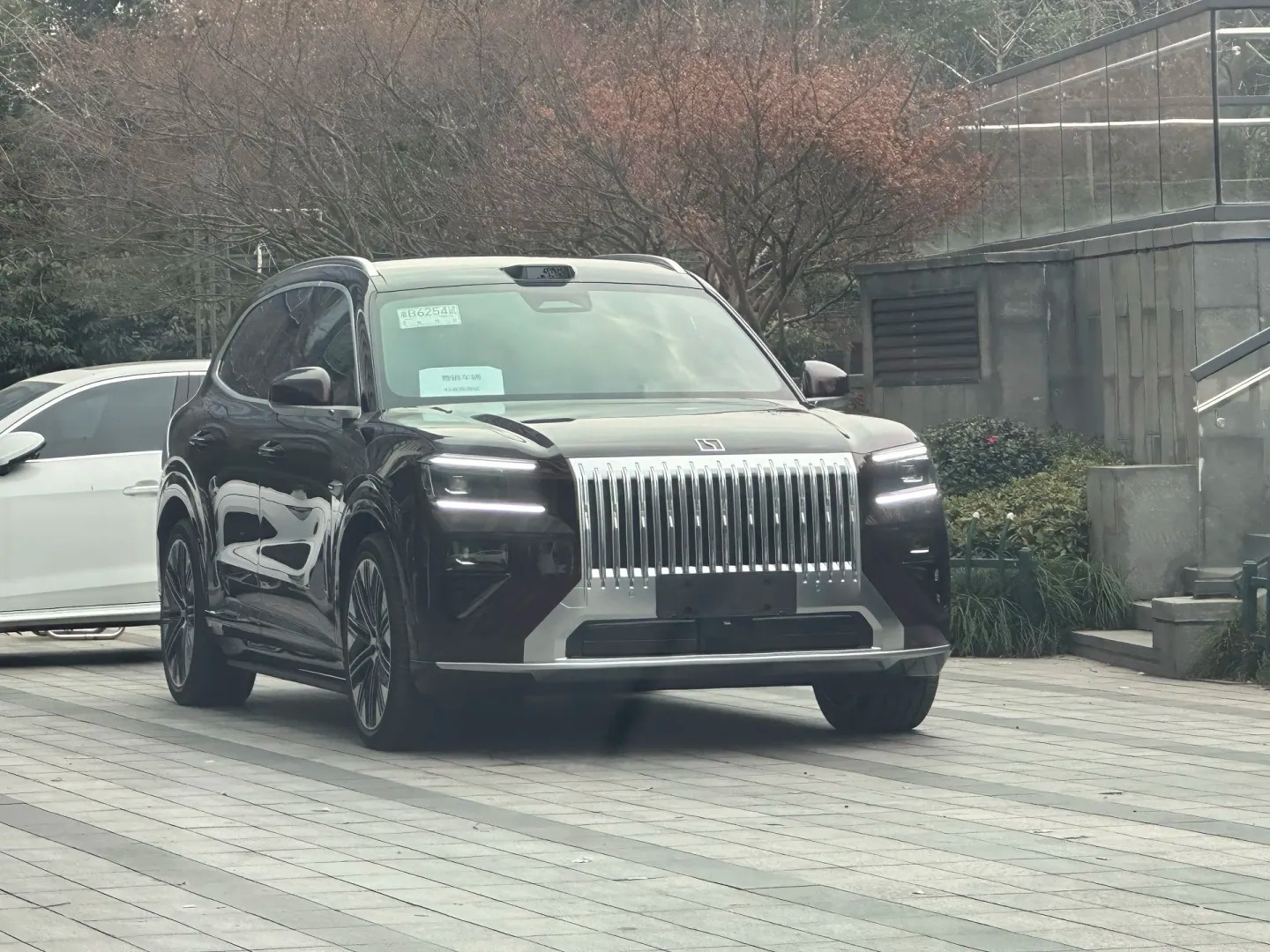 新车极氪8X比之前的9X好看太多了，9X实在是太楞了，跟拿尺子画的一样，横平竖