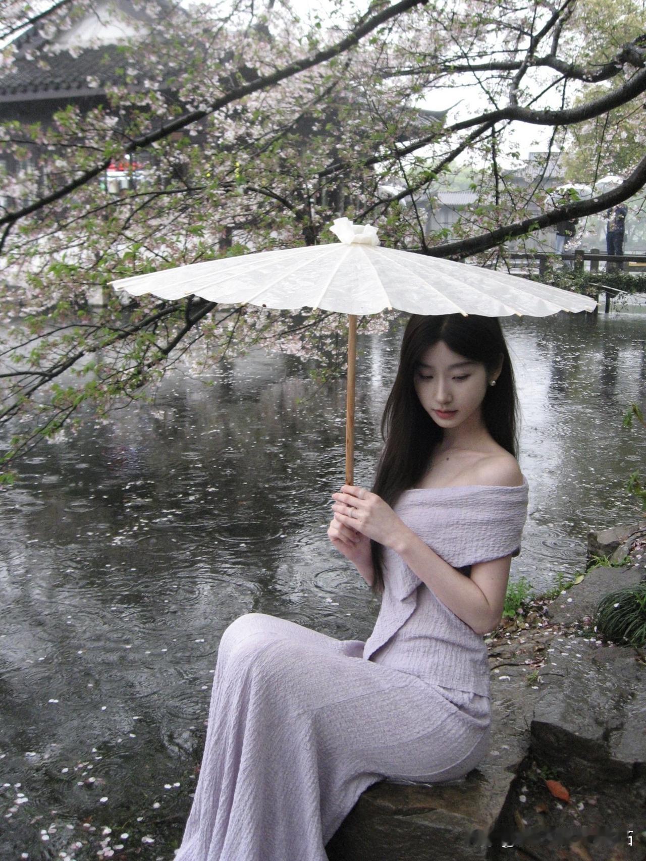 雨中漫步，撑伞漫步在樱花树下，唯美如画。