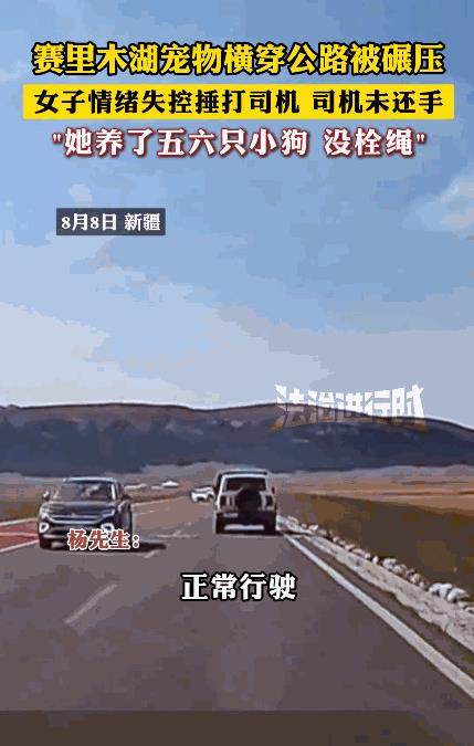 “这下后悔了吧！”8月8日，新疆，一男子开车在路上正常行驶，突然，一条没有拴绳的